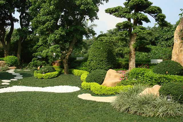 怎樣來(lái)更好的保障園林綠化養護進(jìn)行